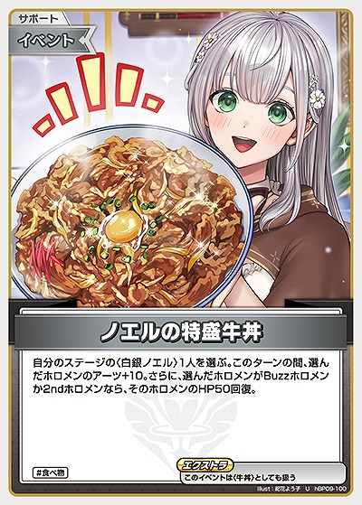 ノエルの特盛牛丼 【hBP09-100U】
